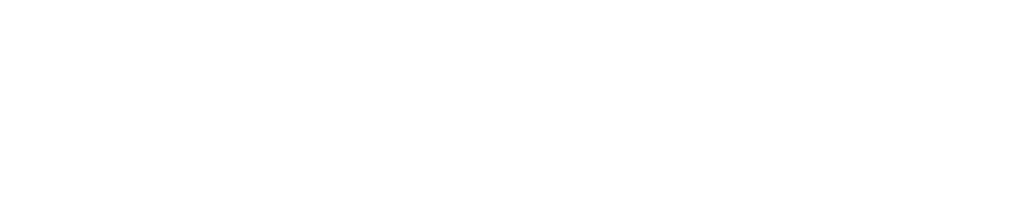 Logo Holler